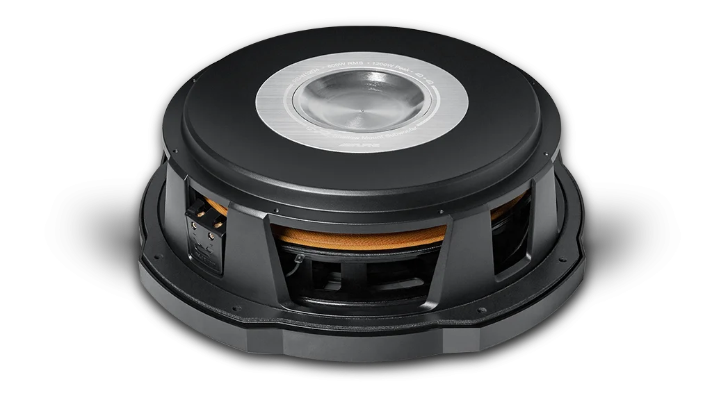 Alpine RS-W12D2 12-Inch R-Series High-Performance Shallow Subwoofer with Dual Coil 2Ohm + 2Ohm