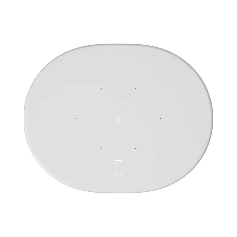 MOVE Portable Smart Speaker