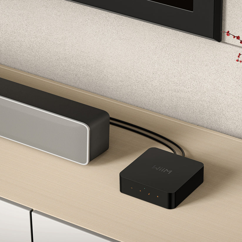 WiiM Pro Plus Wireless Audio Streamer with AirPlay 2 and Chromecast Built-in