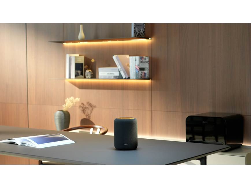 WiiM Sound Lite Smart Speaker Wireless Streaming Audio Speaker