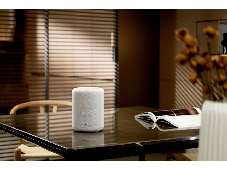 WiiM Sound Lite Smart Speaker Wireless Streaming Audio Speaker