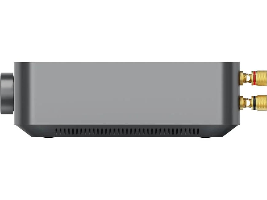 WiiM Amp Stereo Streaming Amplifier