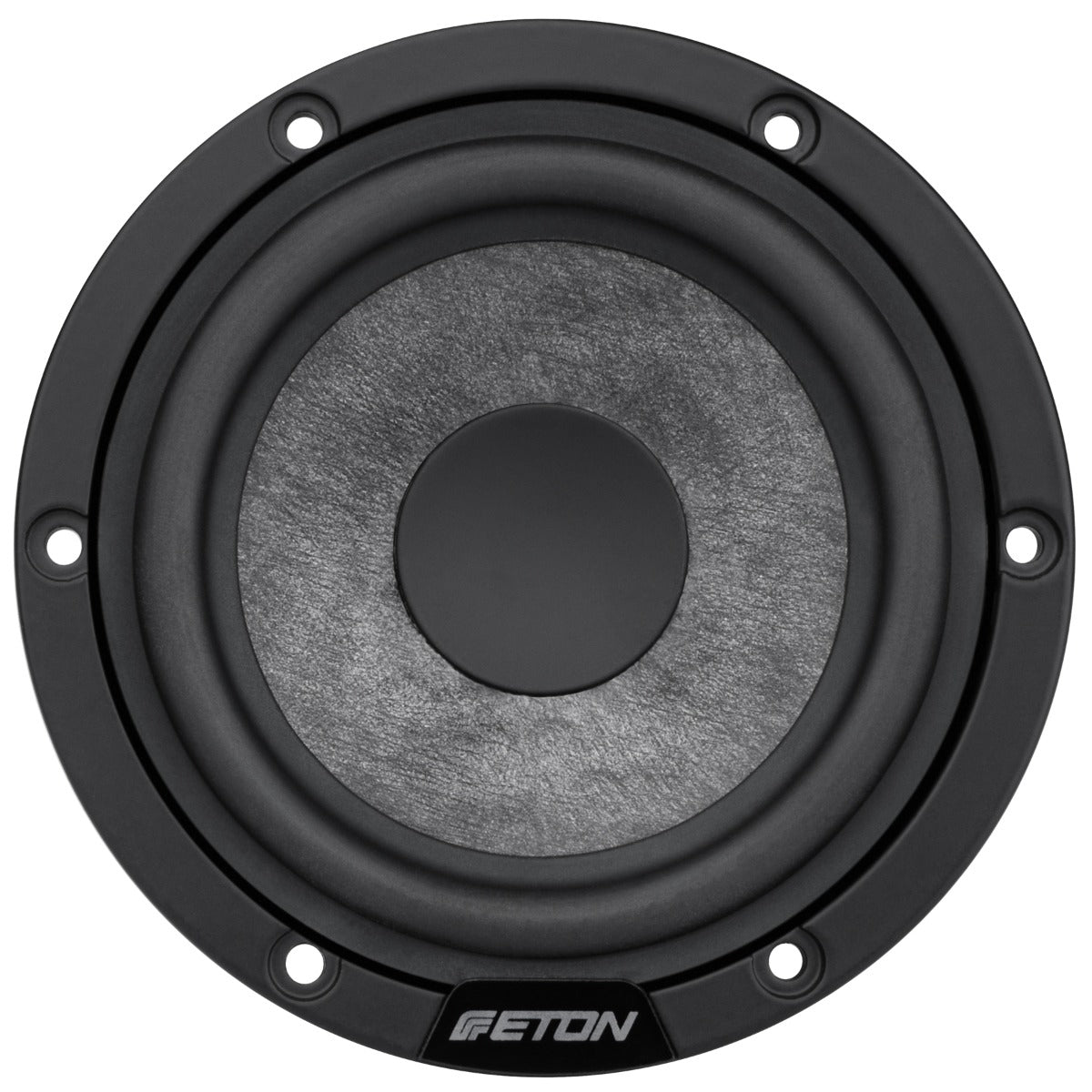 Eton GRAPHIT80 Component Speaker