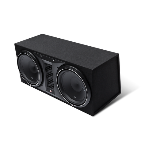 10” Dual P2 Punch Loaded Enclosure