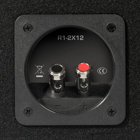 12” Dual R1 Prime Loaded Enclosure