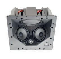 Focal - 100 ICLCR5