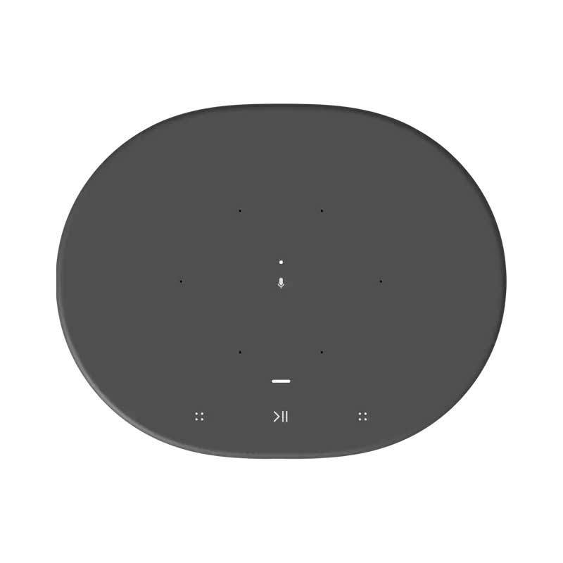 MOVE Portable Smart Speaker