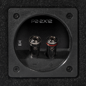 Rockford Fosgate - 12” Dual P2 Punch Loaded Enclosure